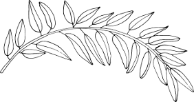 Separator_leaf