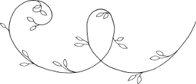 Separator_swirl4