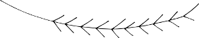 Separator_stem5