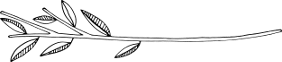 Separator_stem6