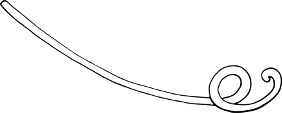 Separator_swirl2