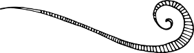 Separator_swirl1